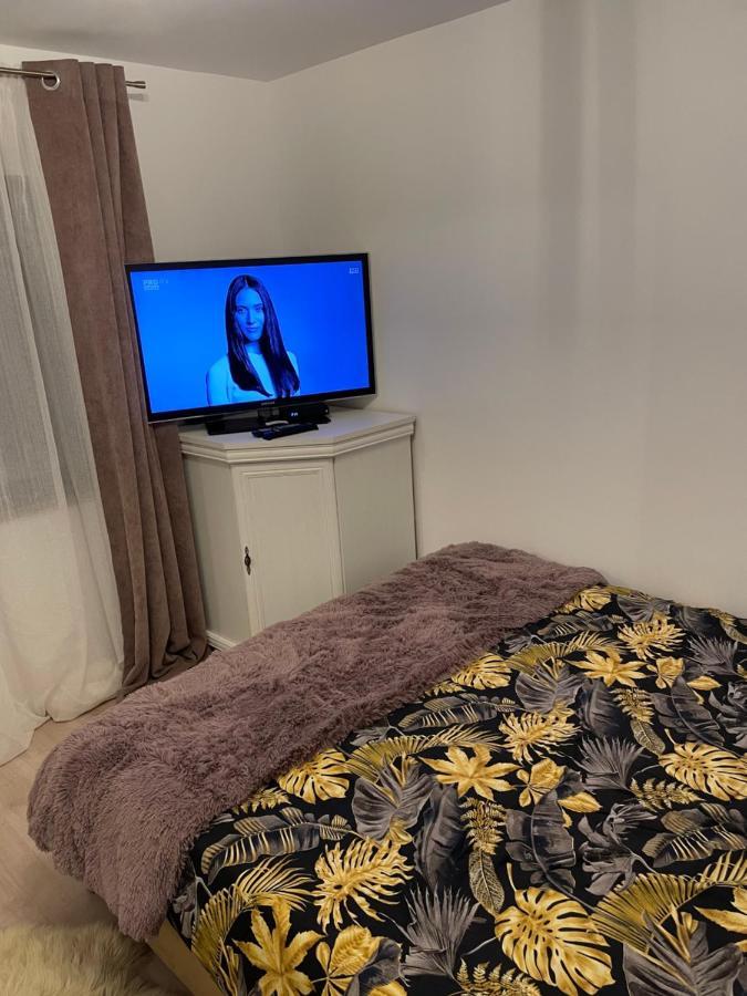 Casa Alex Villa Câmpulung Moldovenesc Екстериор снимка