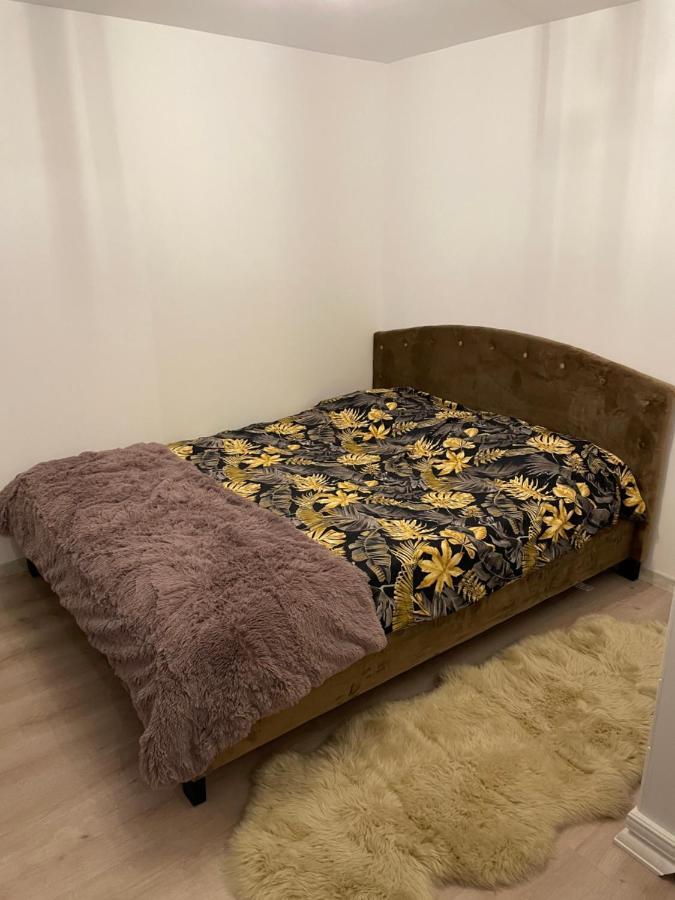 Casa Alex Villa Câmpulung Moldovenesc Екстериор снимка